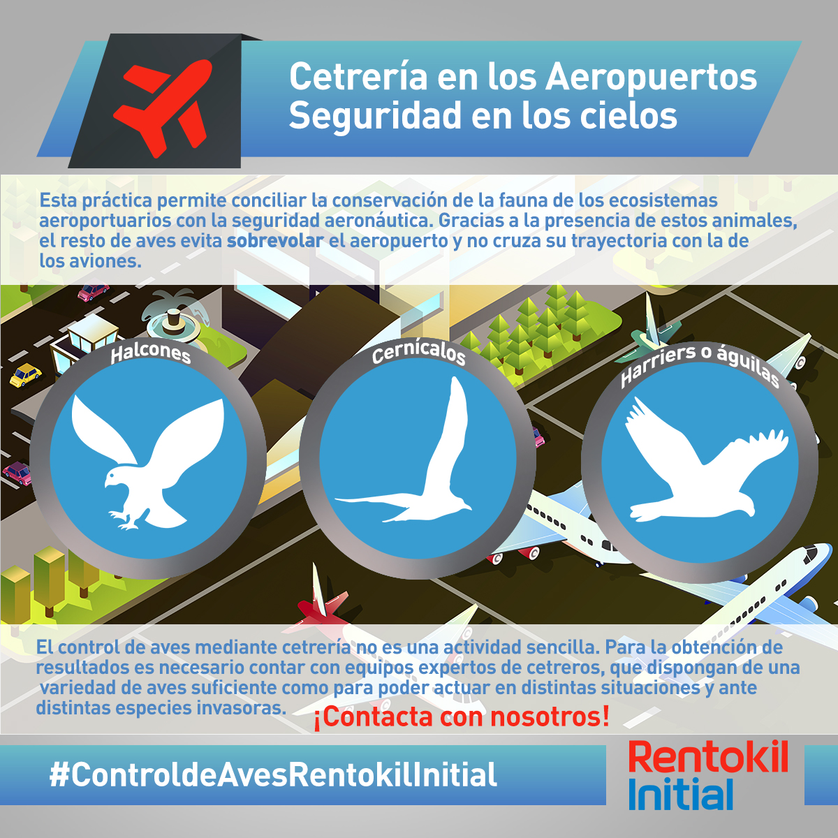 infografía rentokil1Aves