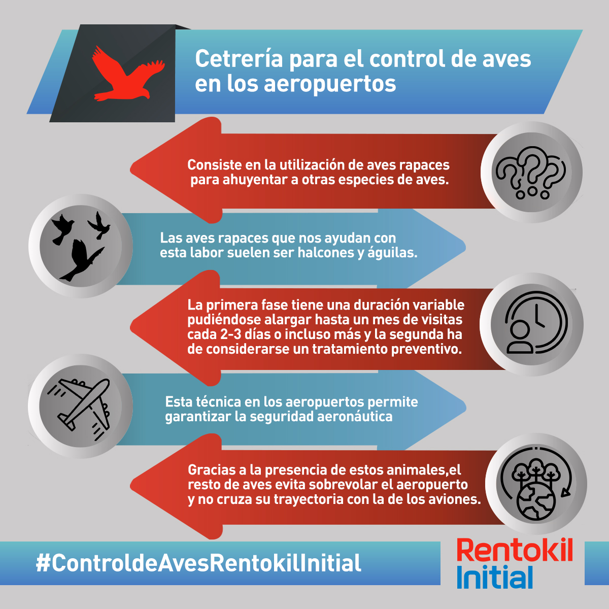 infografía rentokil_Aves2